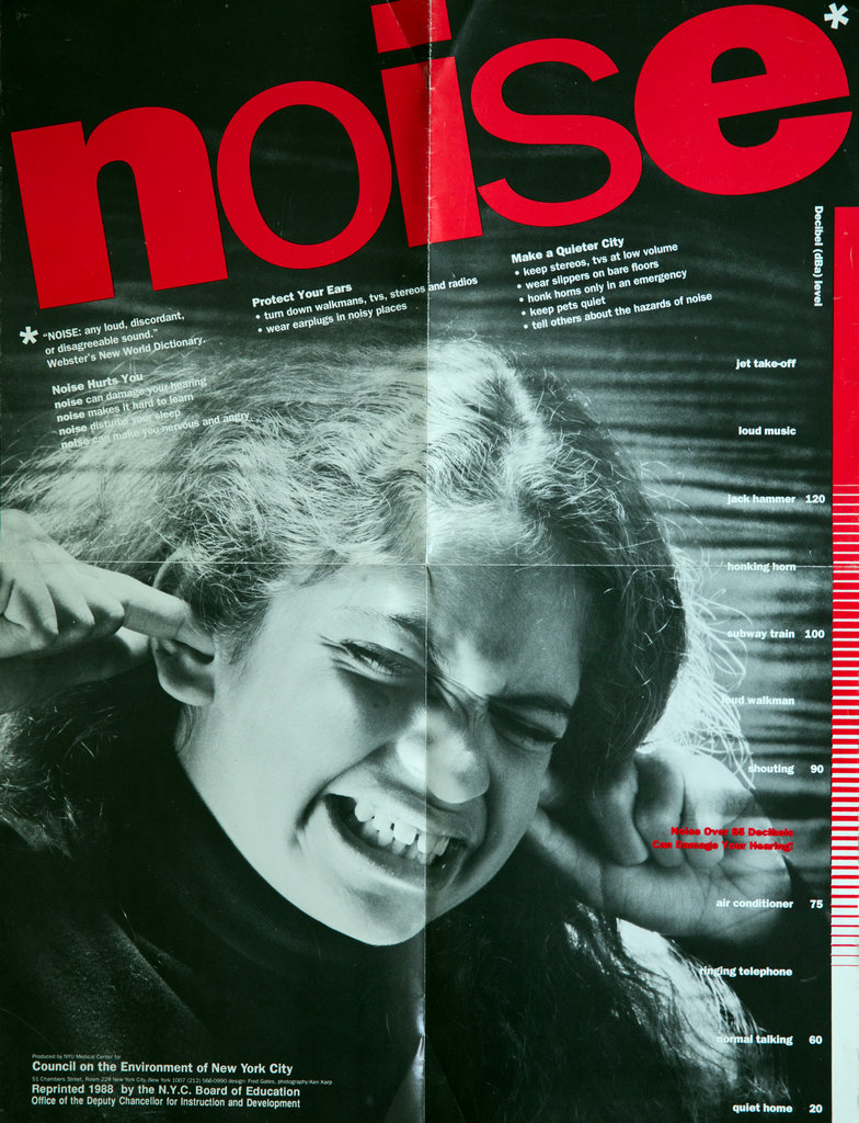 CENYC Noise Poster